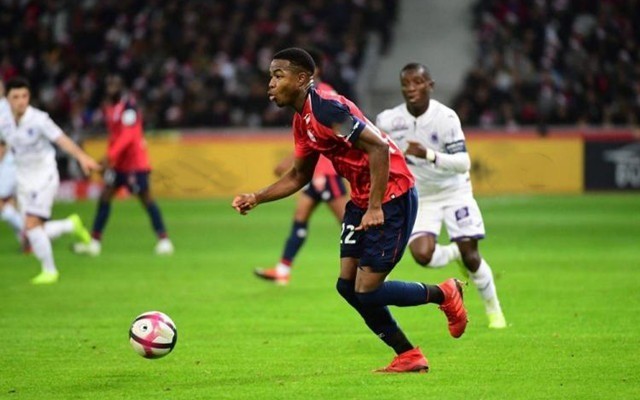 他的表现无 他的表现无