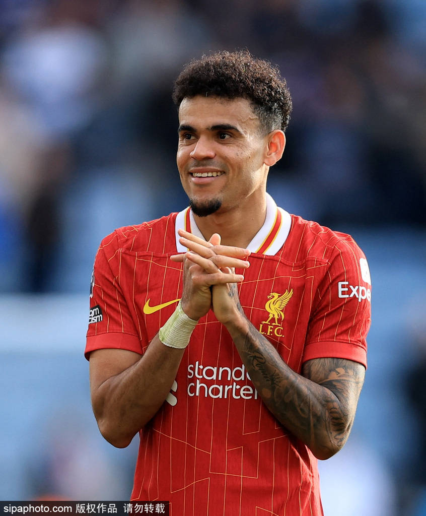 新扛起主要 新扛起主要